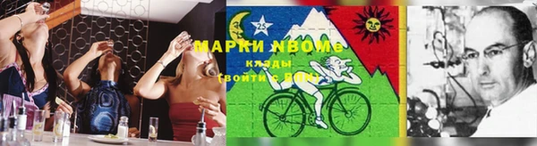индика Алексеевка