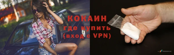 индика Алексеевка