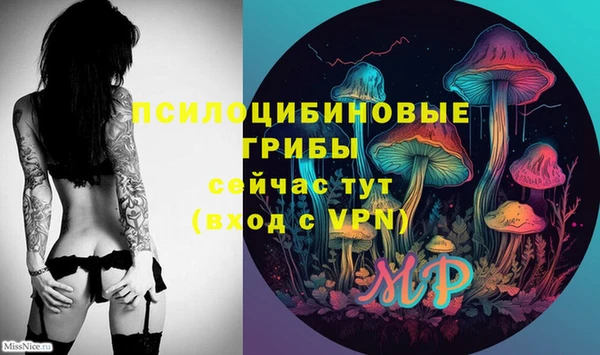 твердый Алзамай
