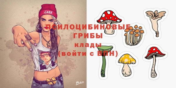индика Алексеевка