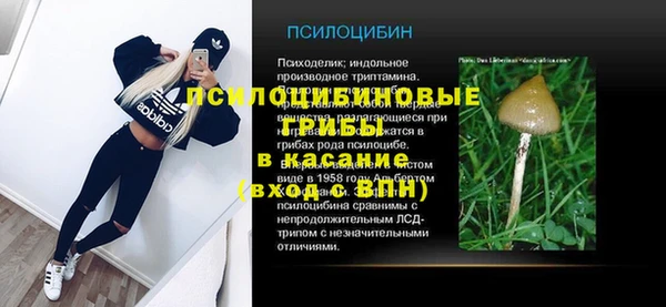 твердый Алзамай