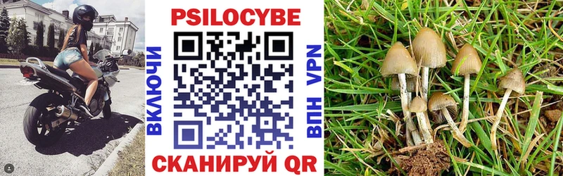 Галлюциногенные грибы MAGIC MUSHROOMS  Нефтегорск 